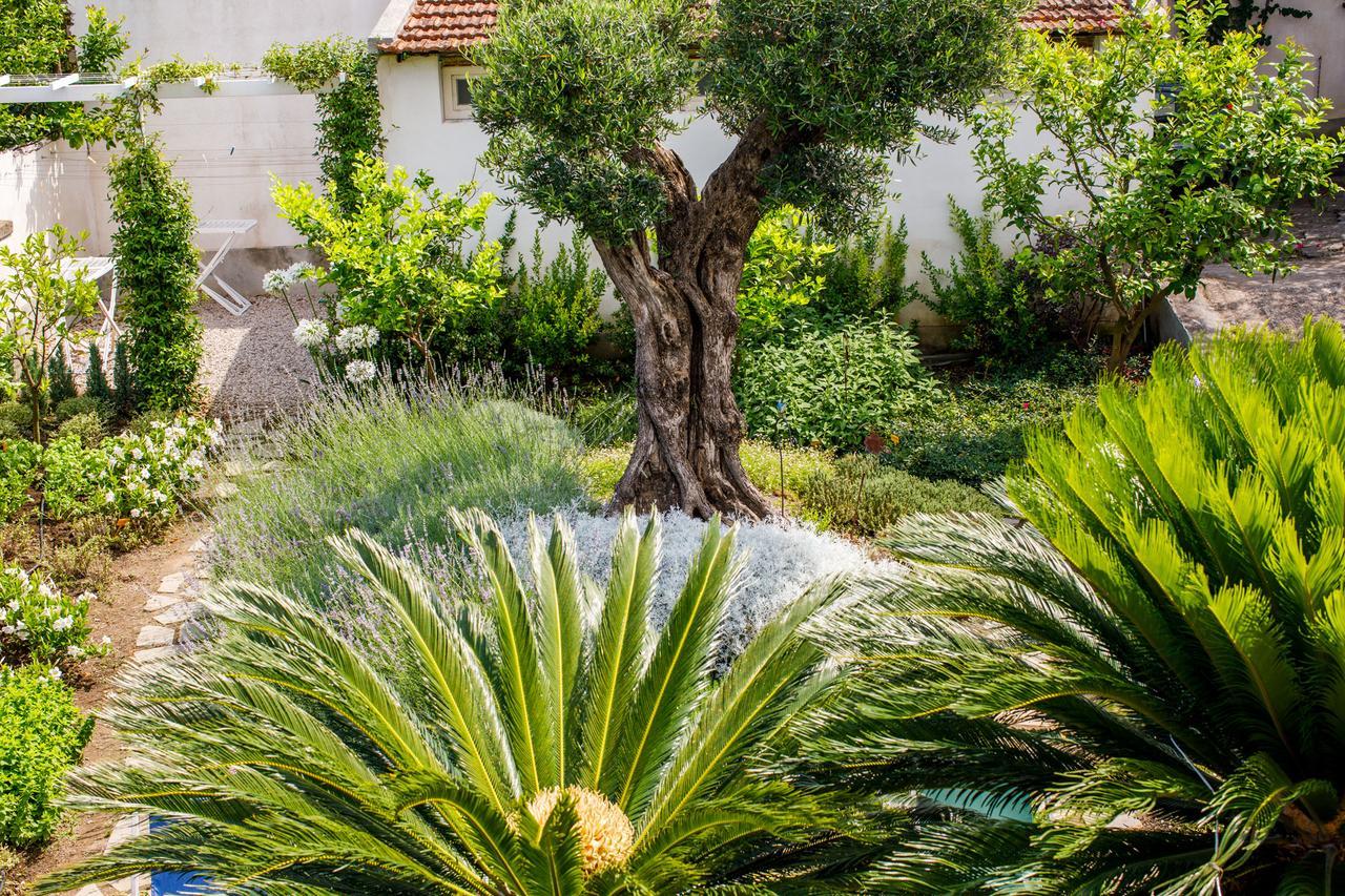 Reggine Holiday Apartments Sant'Agnello Exterior foto